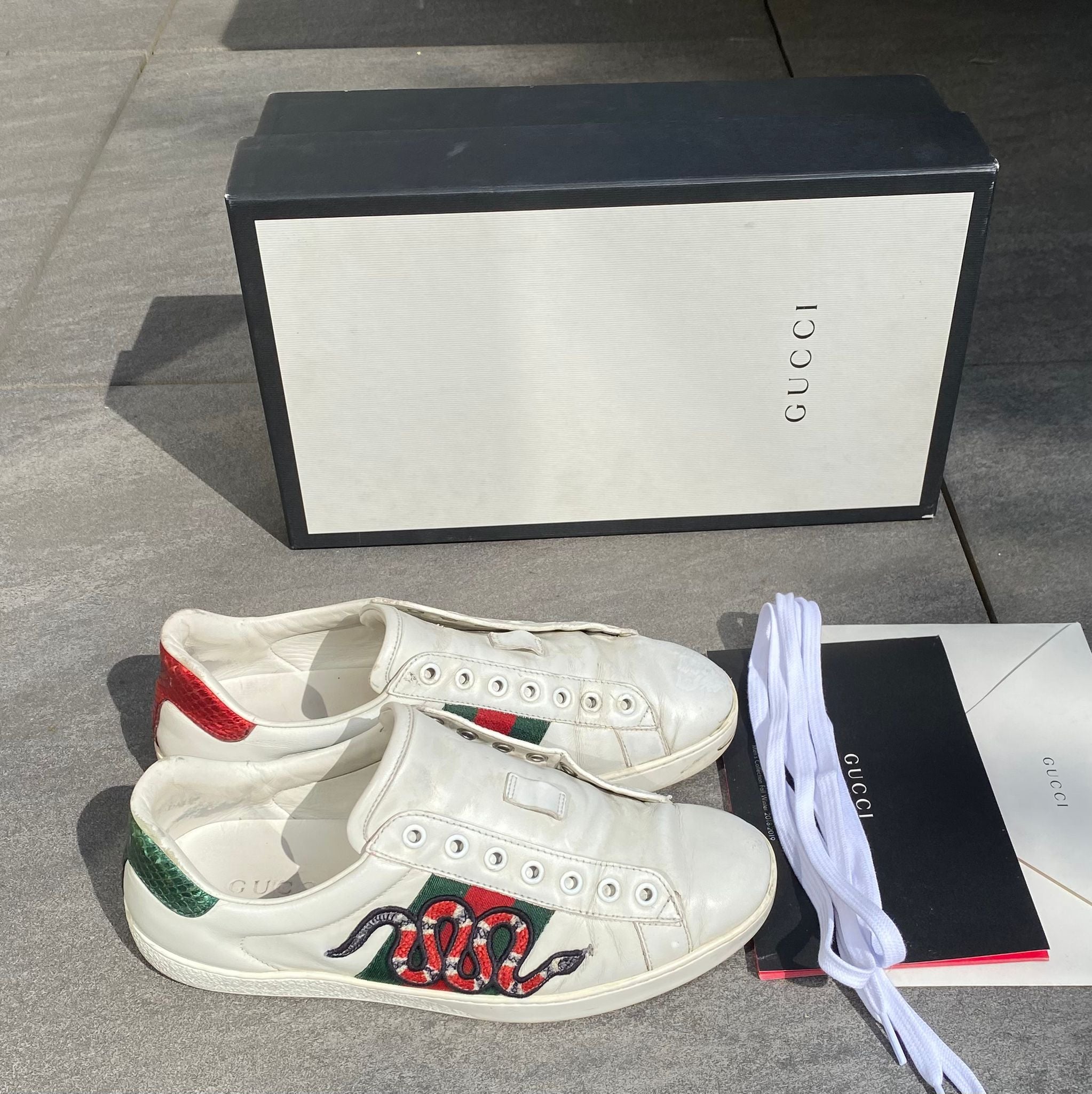 Gucci Ace Snake