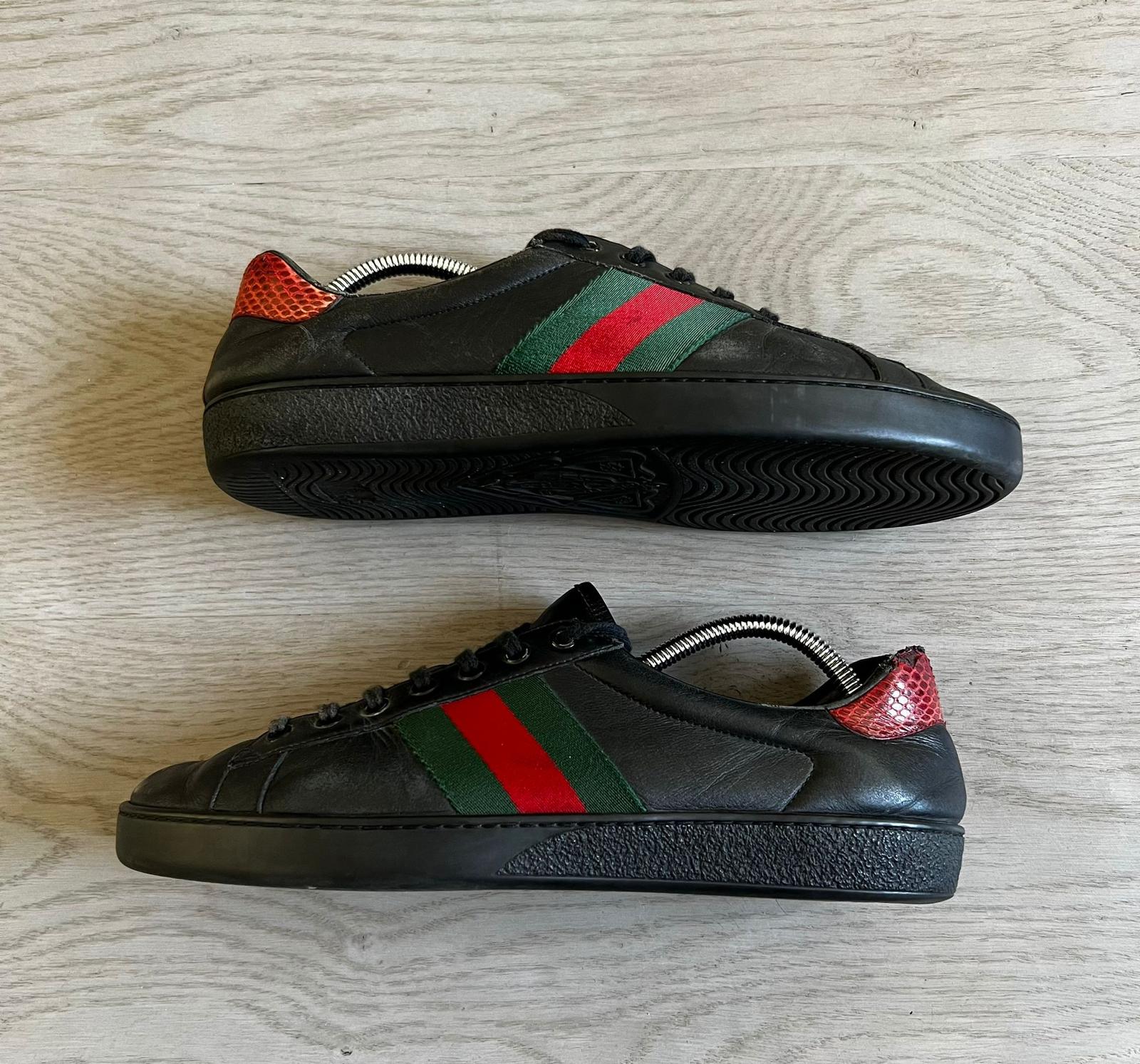 Gucci Ace