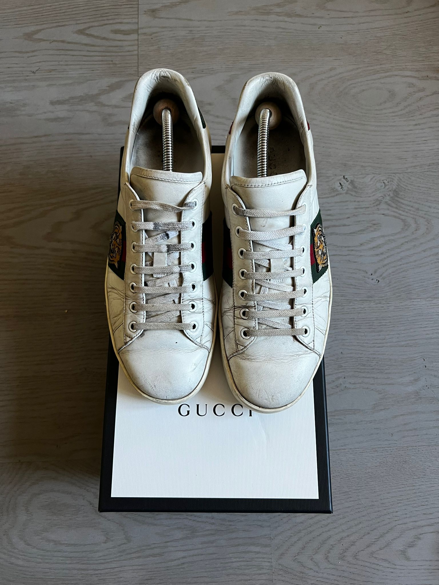 Gucci Ace Tiger