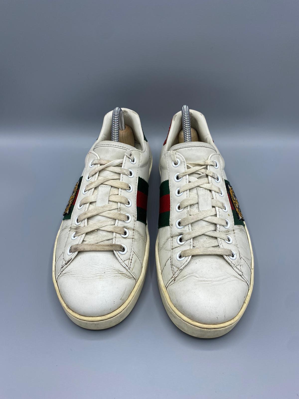 Gucci Ace Tiger