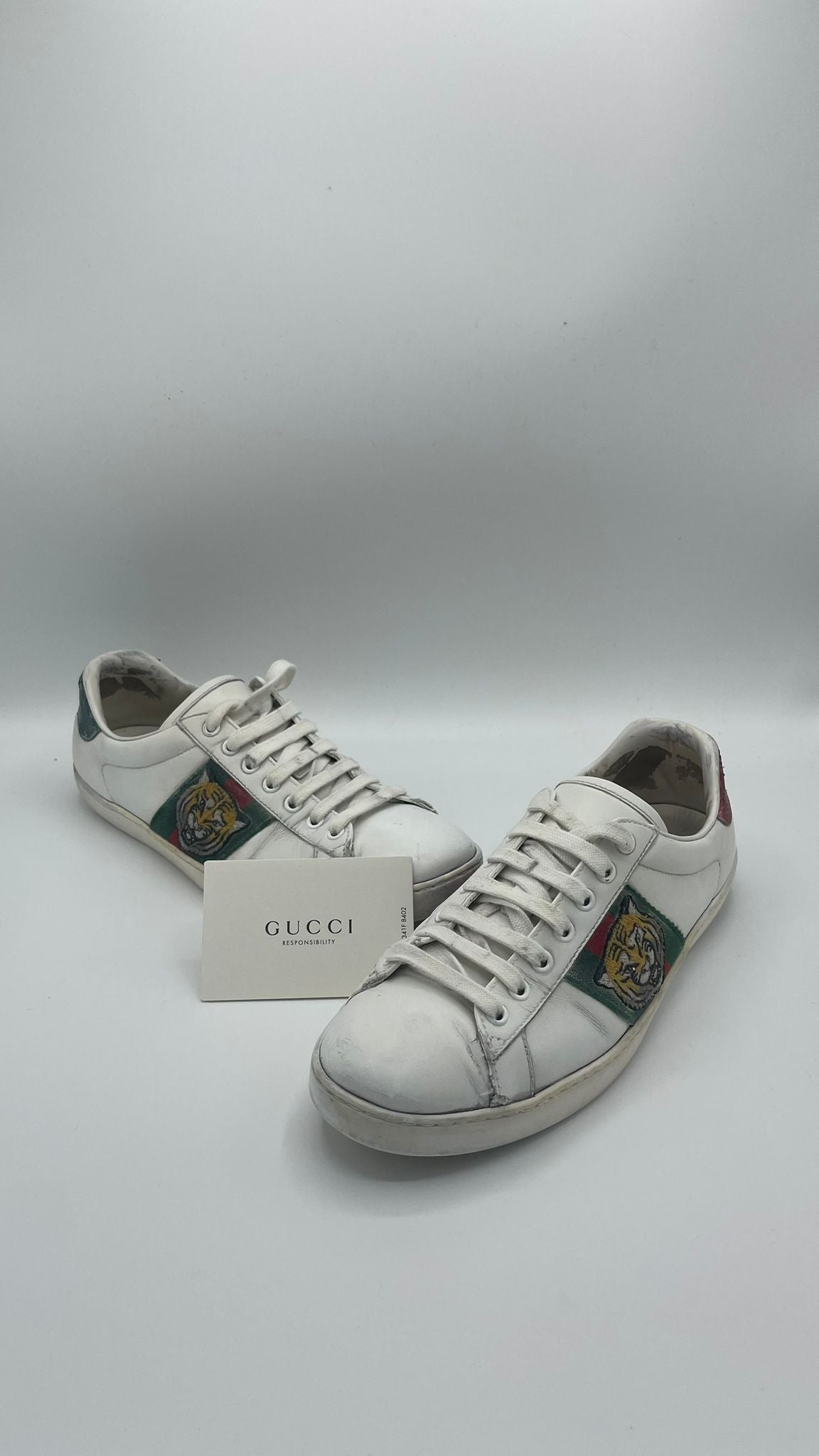 Gucci Ace Tiger