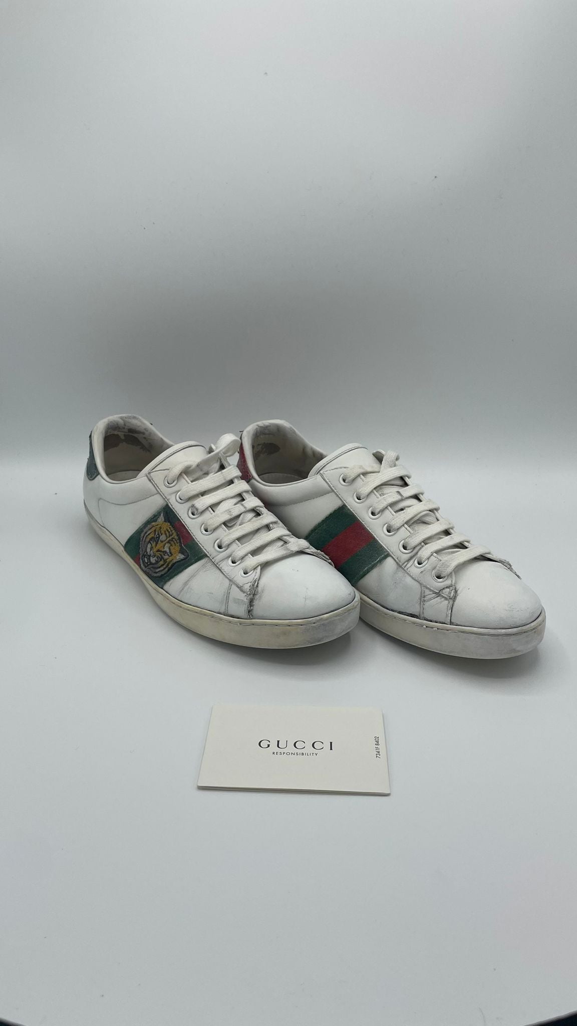 Gucci Ace Tiger