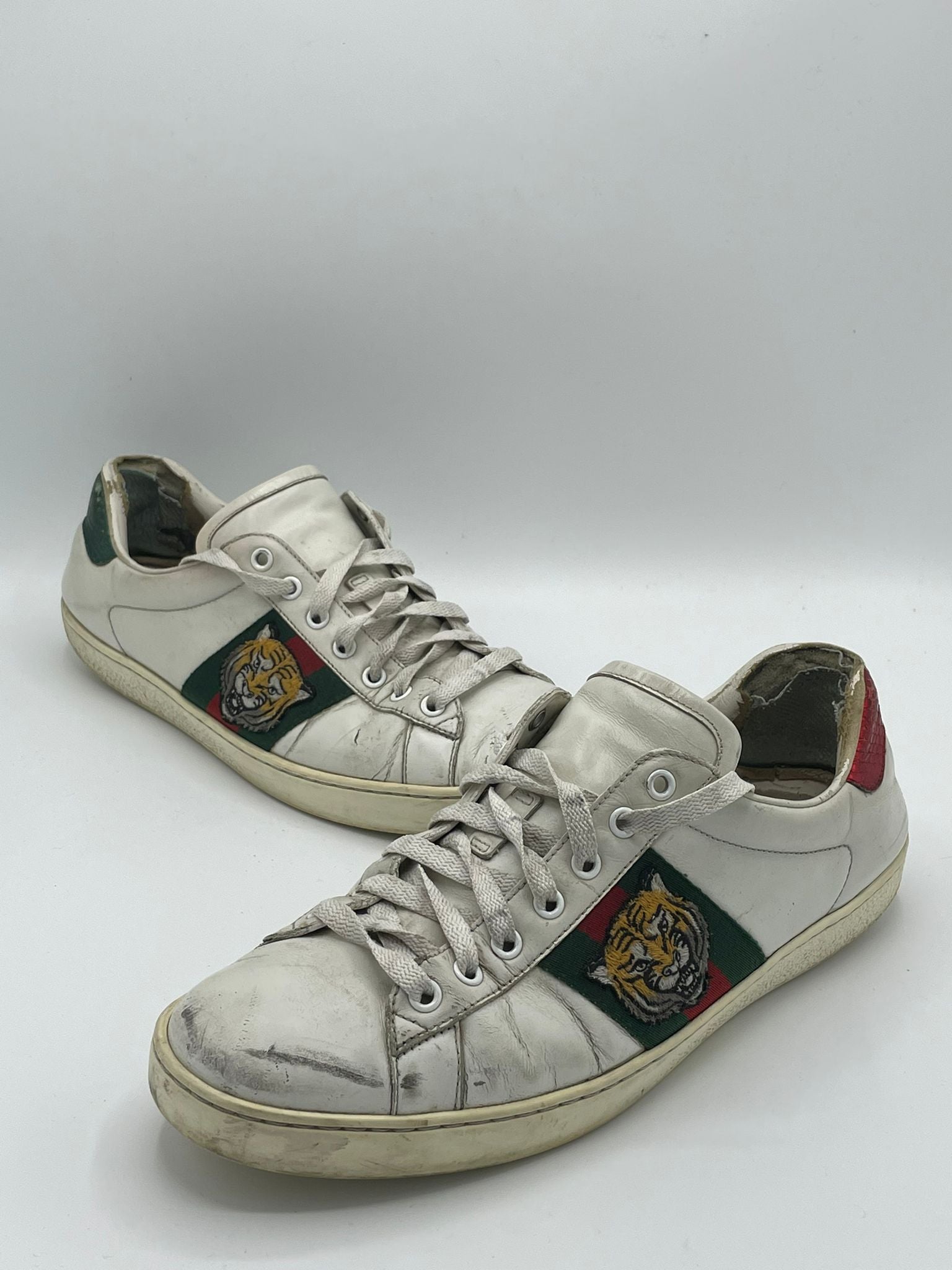 Gucci Ace Tiger