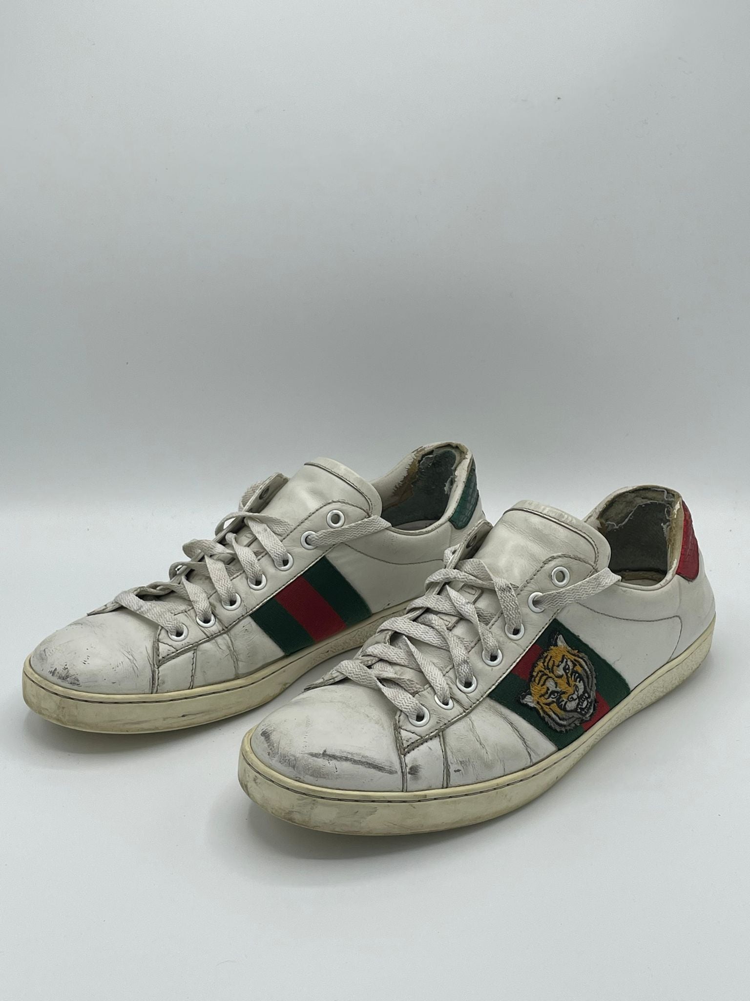 Gucci Ace Tiger