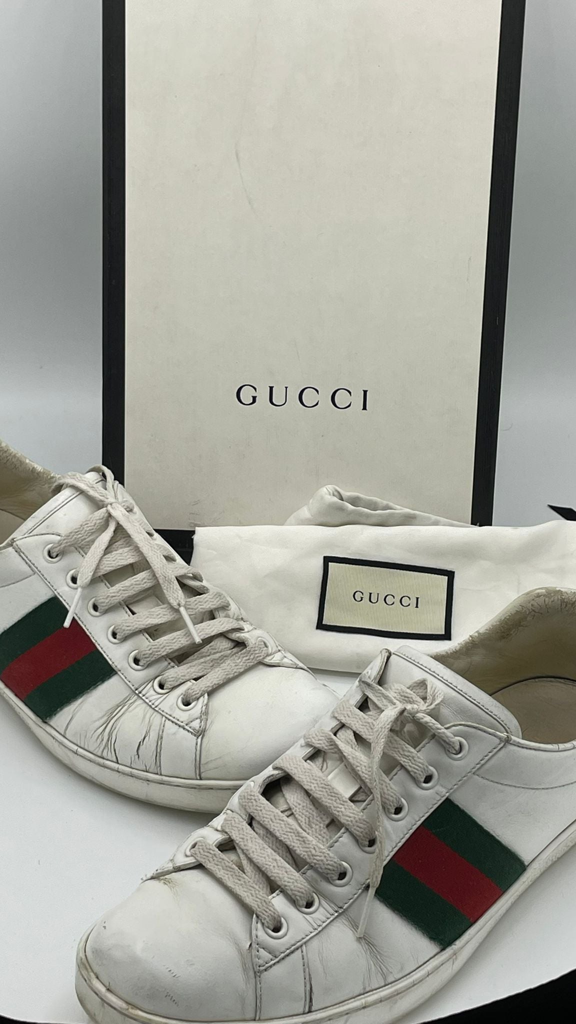 Gucci Ace