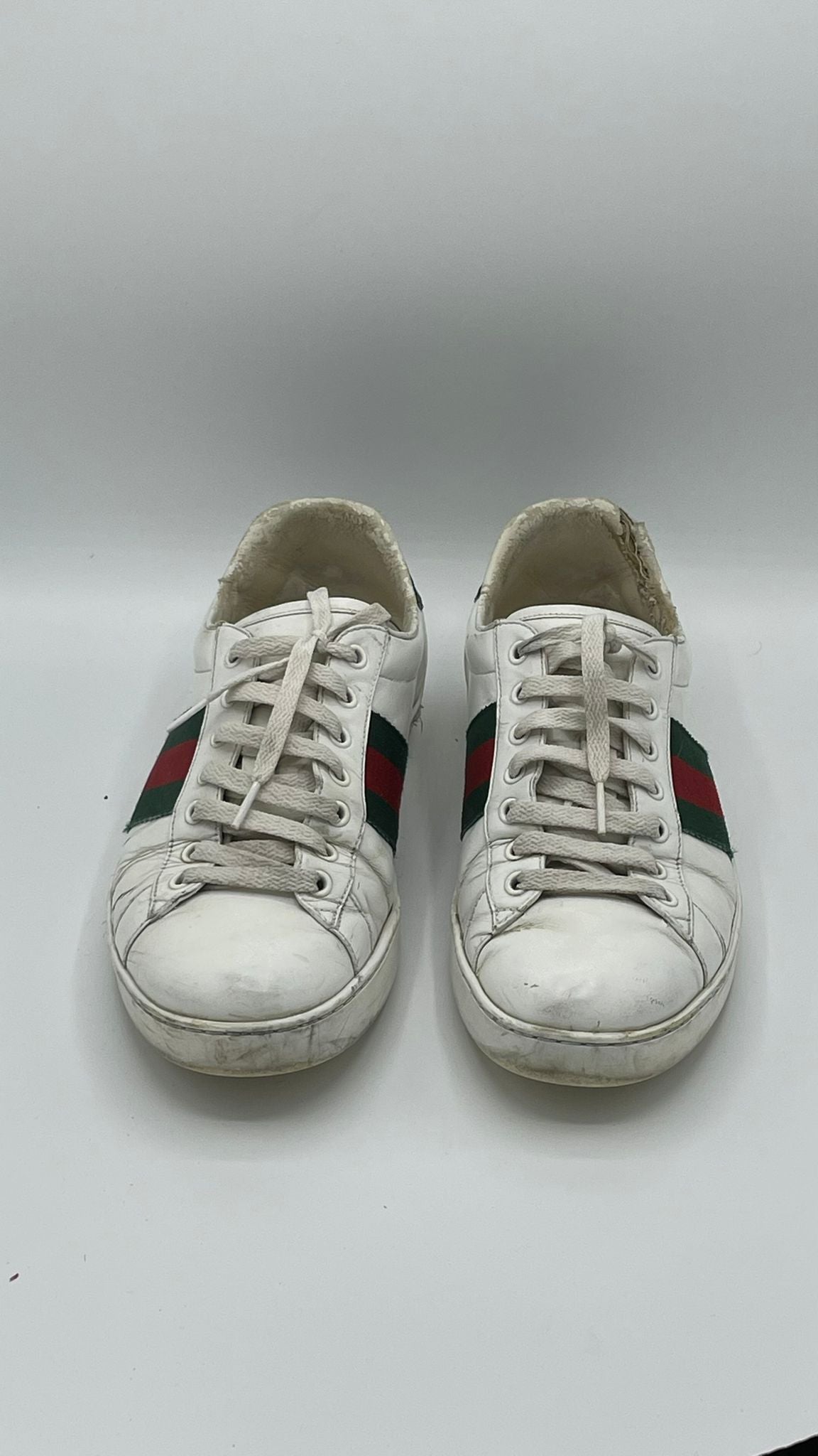 Gucci Ace