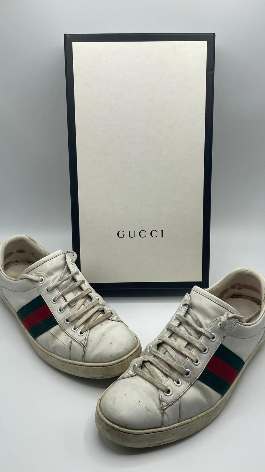 Gucci Ace