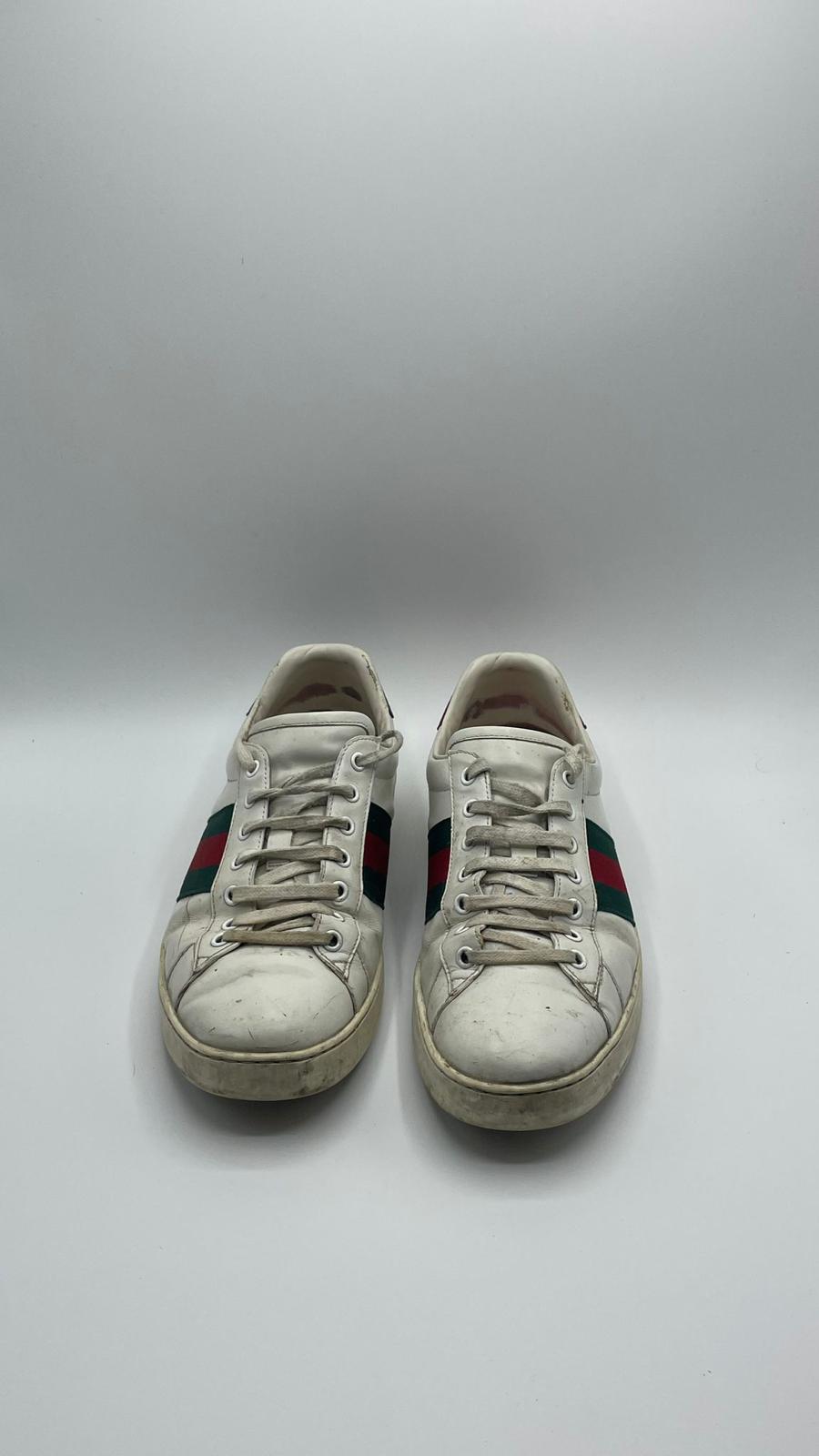 Gucci Ace