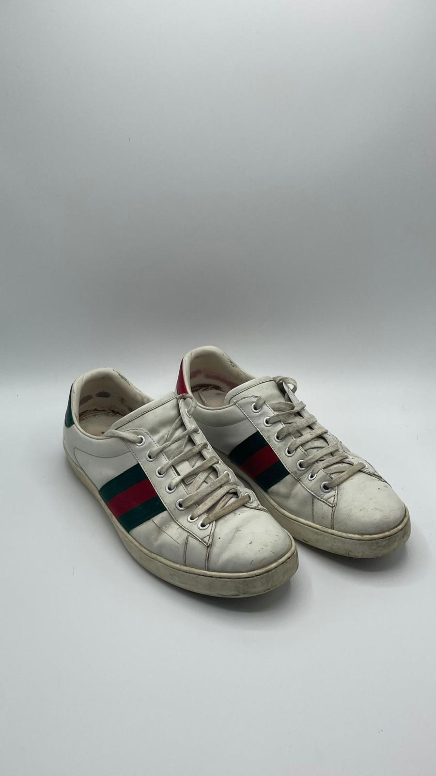 Gucci Ace