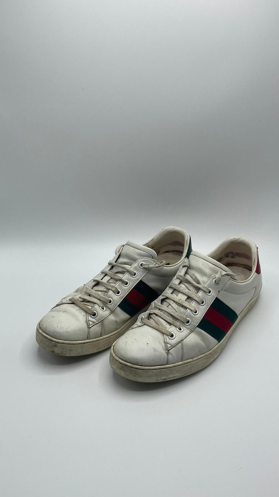 Gucci Ace