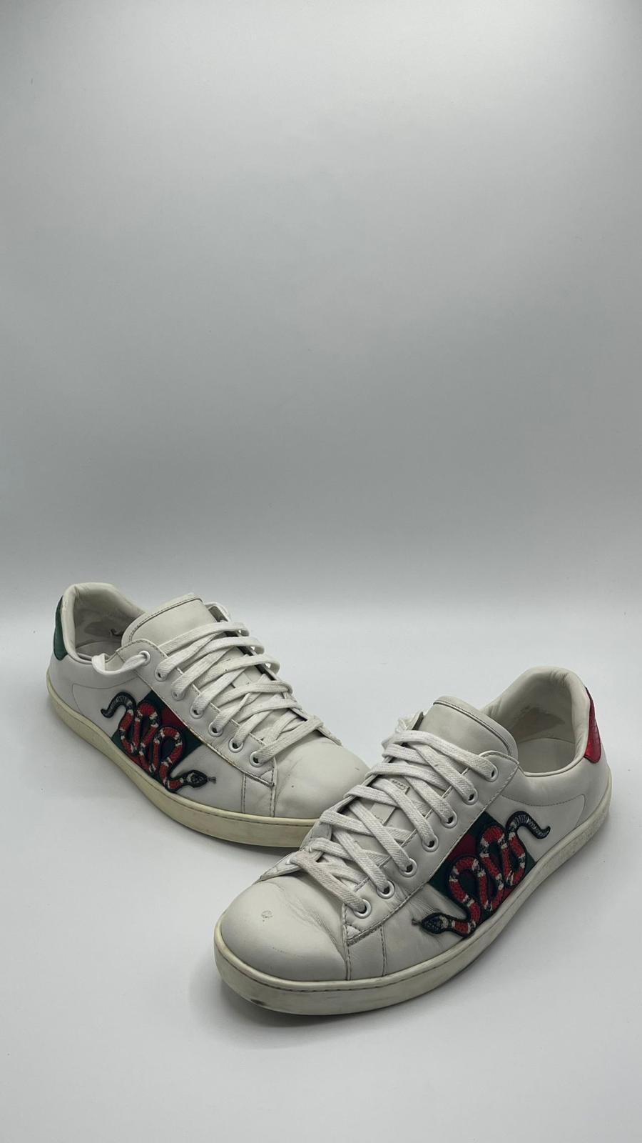 Gucci Ace Snake