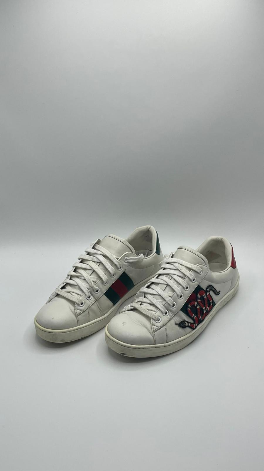 Gucci Ace Snake