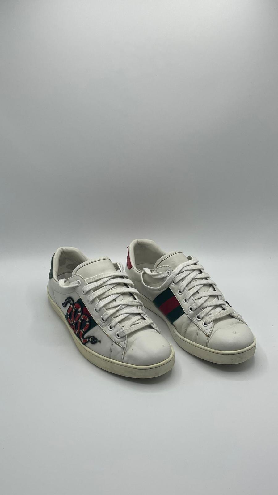 Gucci Ace Snake