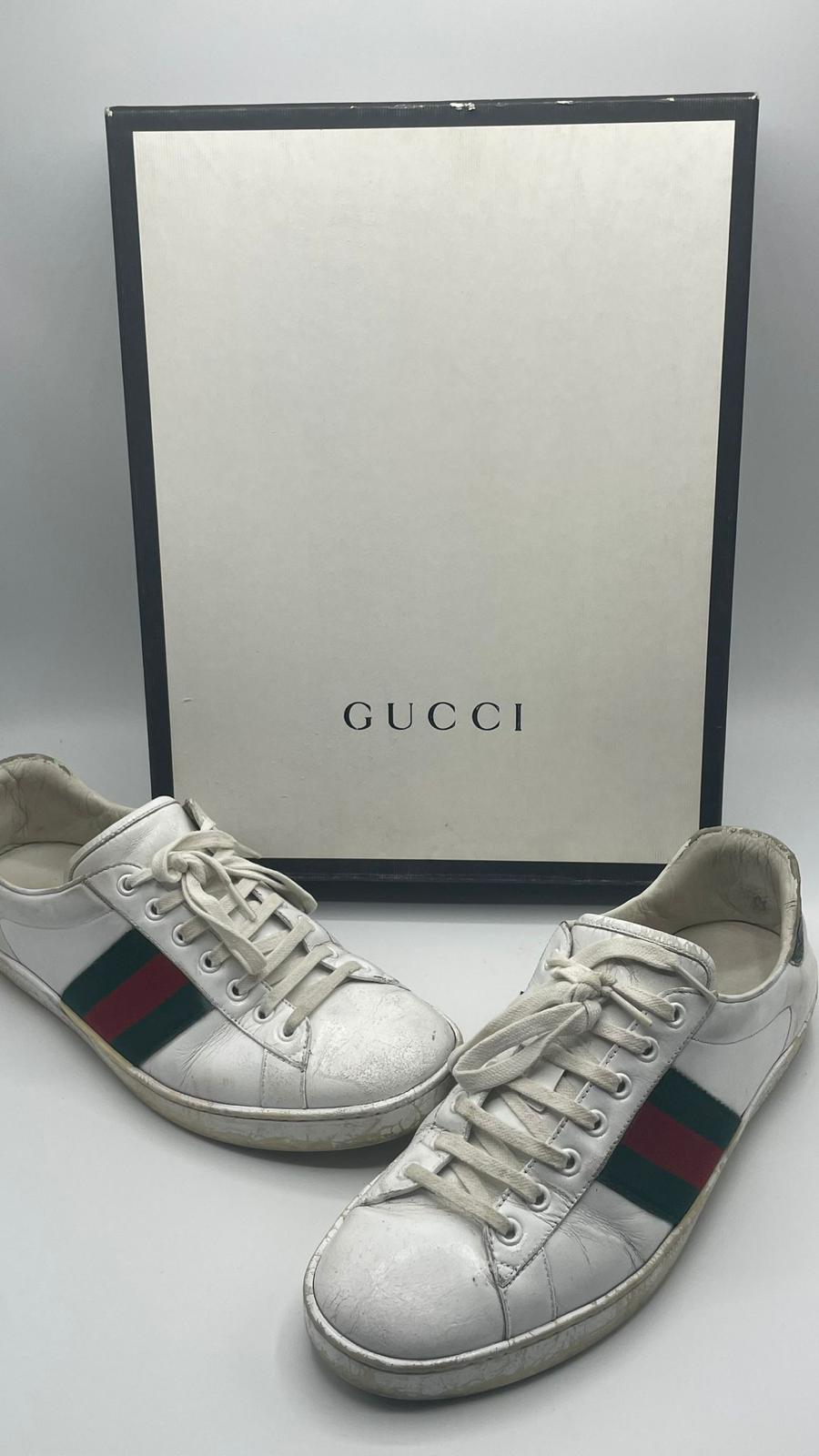 Gucci Ace