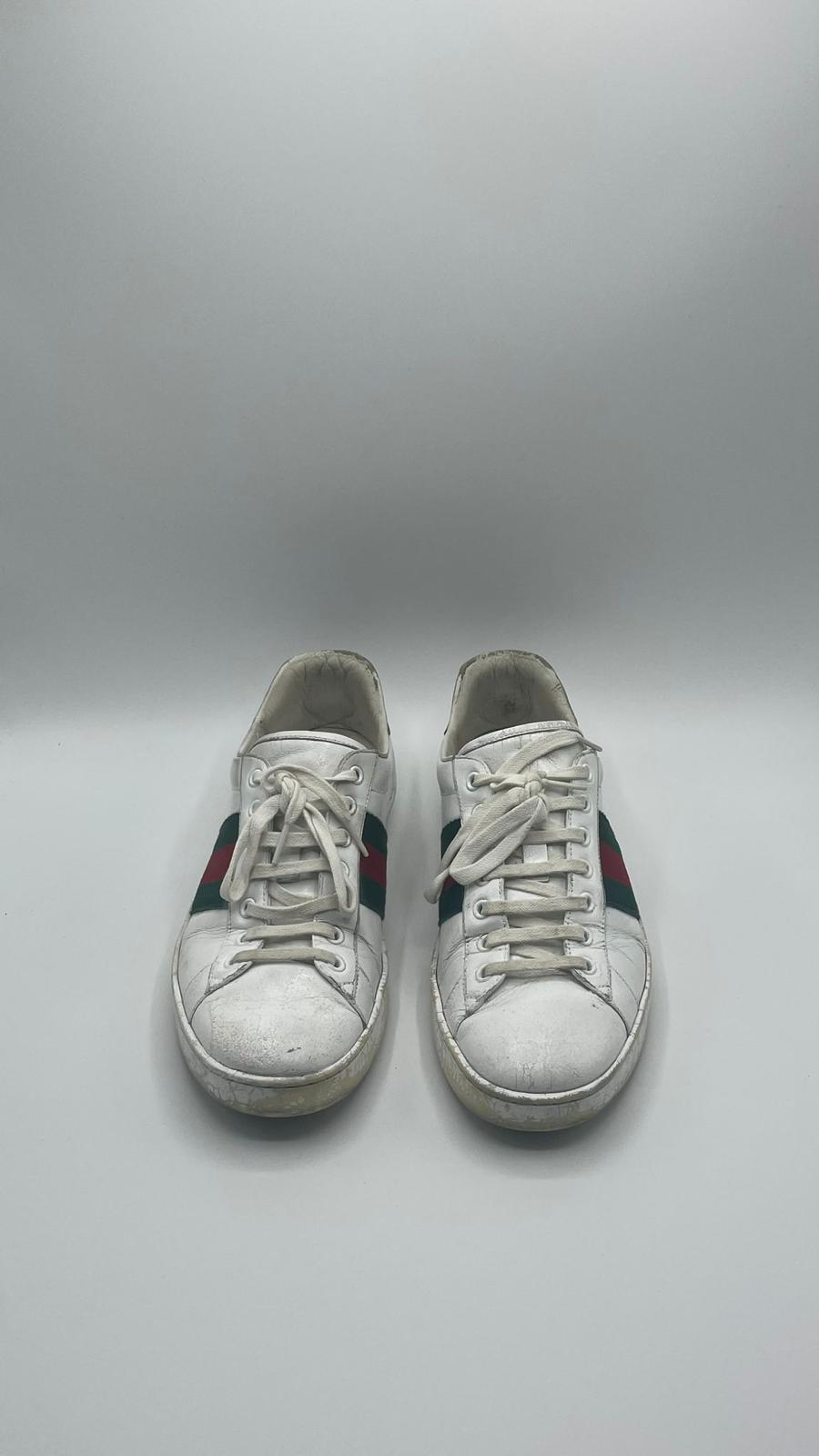 Gucci Ace