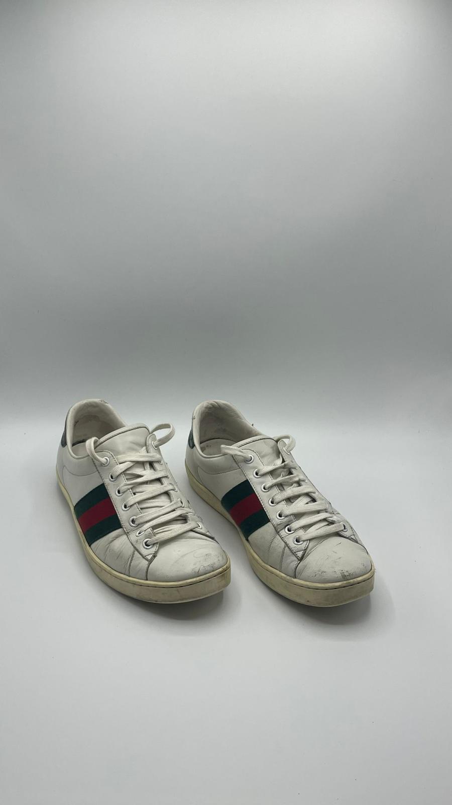 Gucci Ace