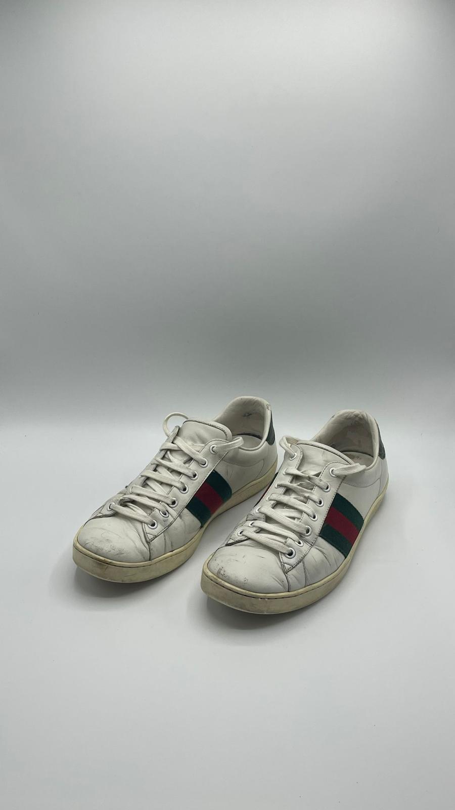 Gucci Ace