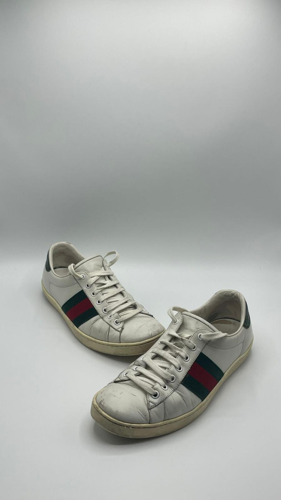 Gucci Ace