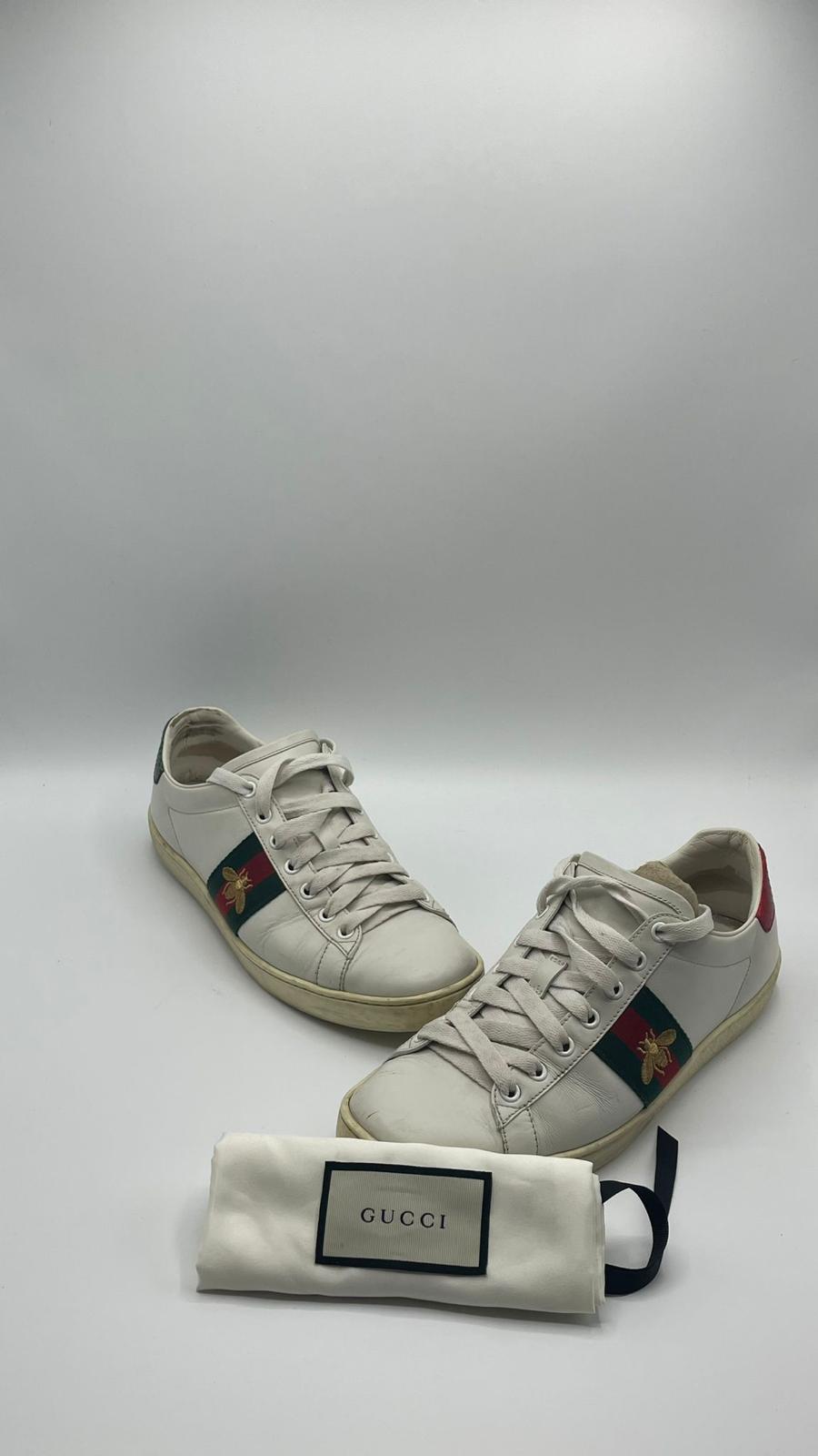 Gucci Ace Bee