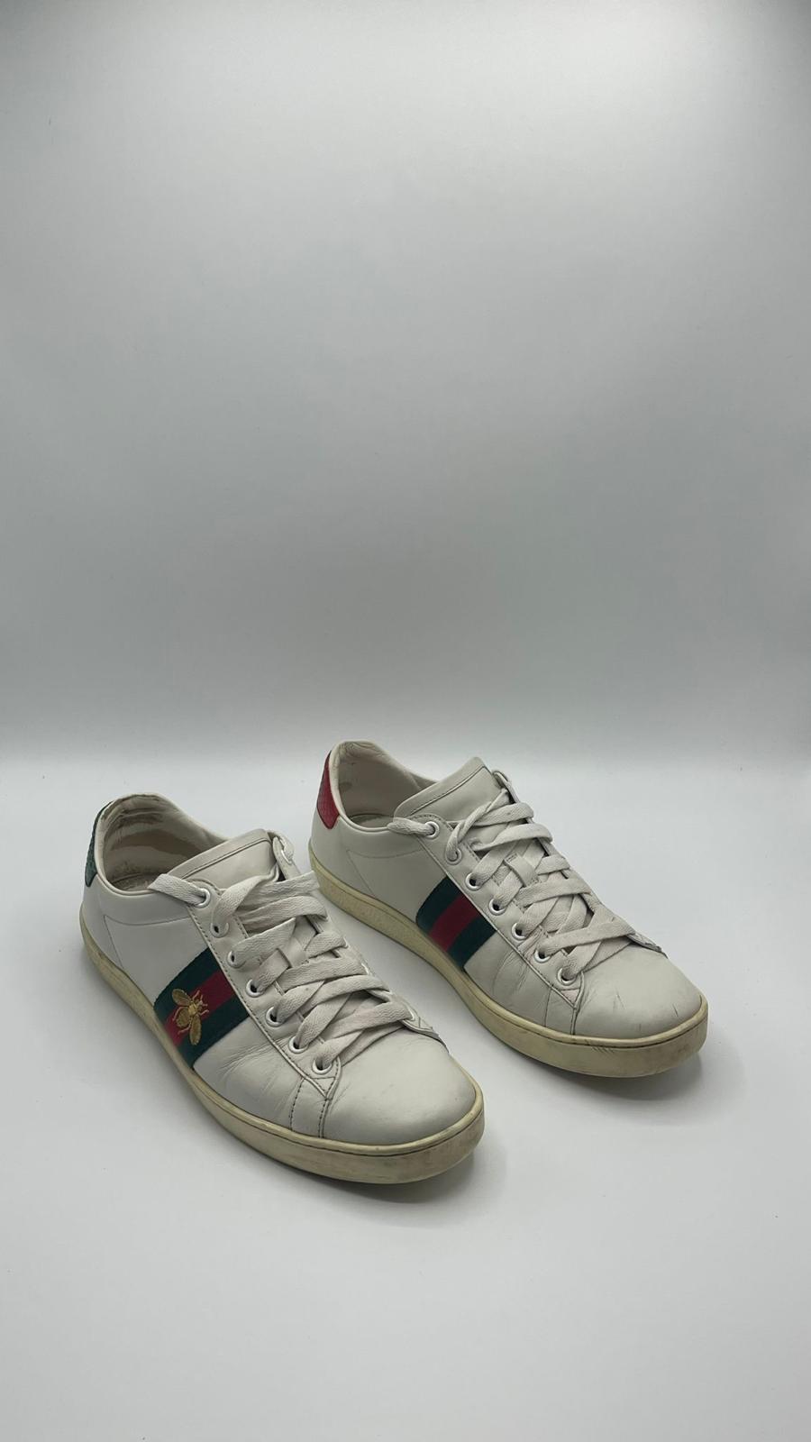 Gucci Ace Bee