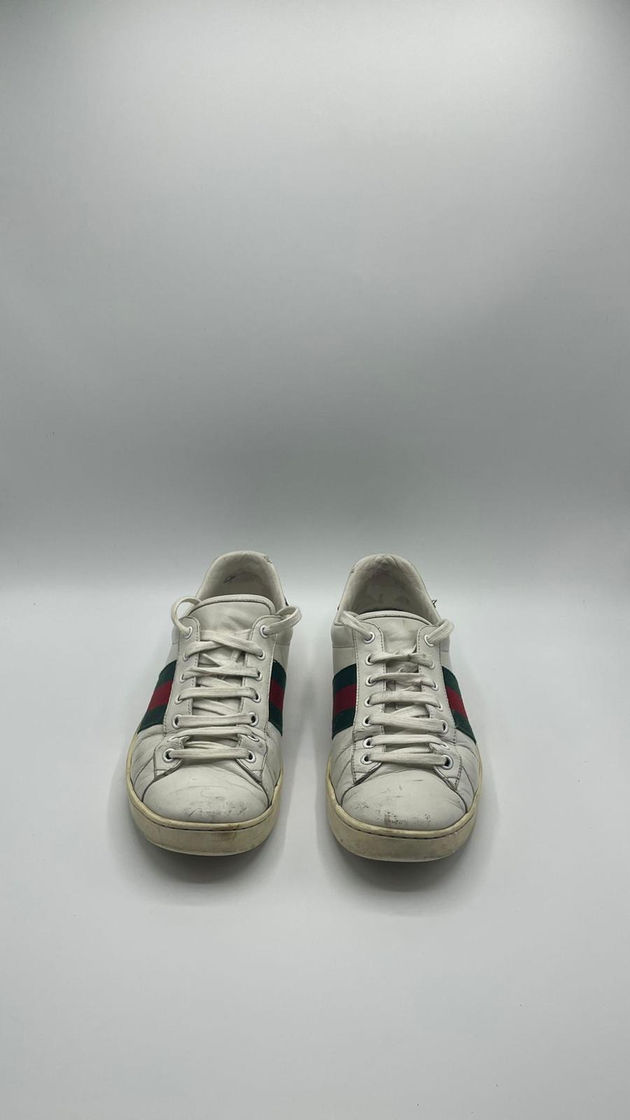 Gucci Ace