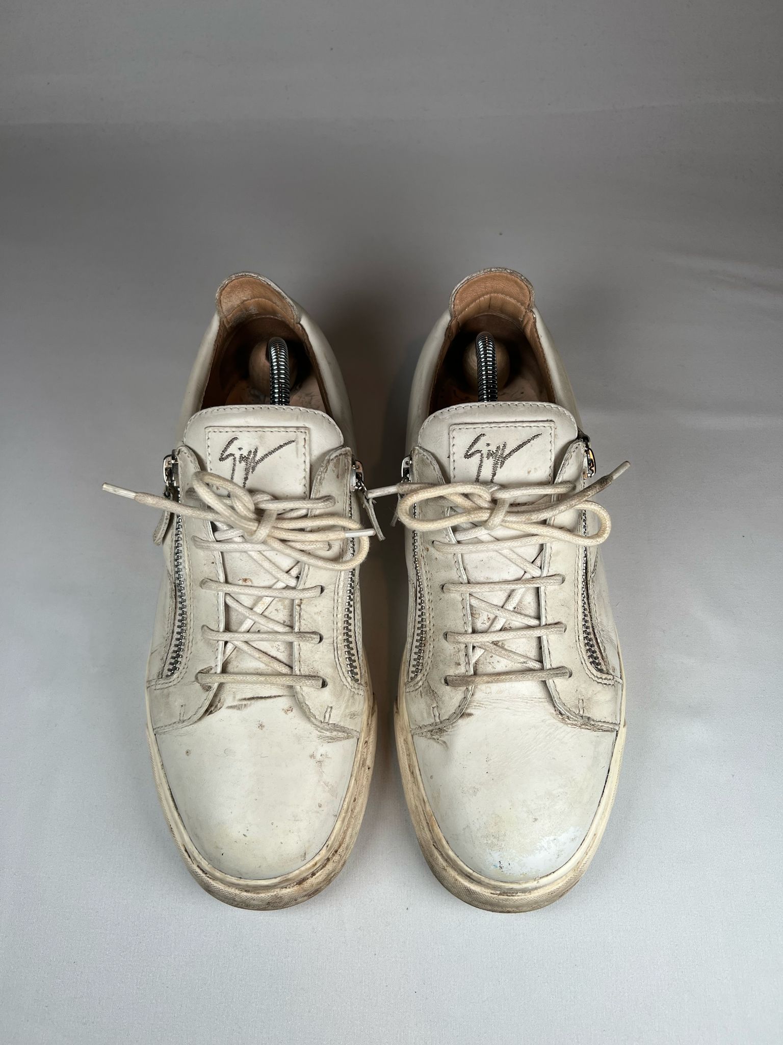 Giuseppe Zanotti
