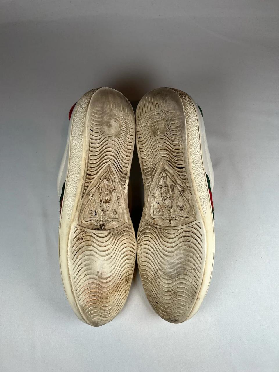 Gucci Ace Bee
