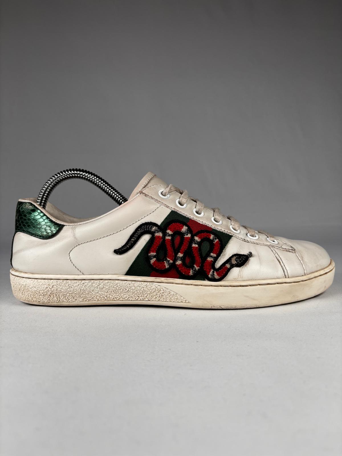 Gucci Ace Snake