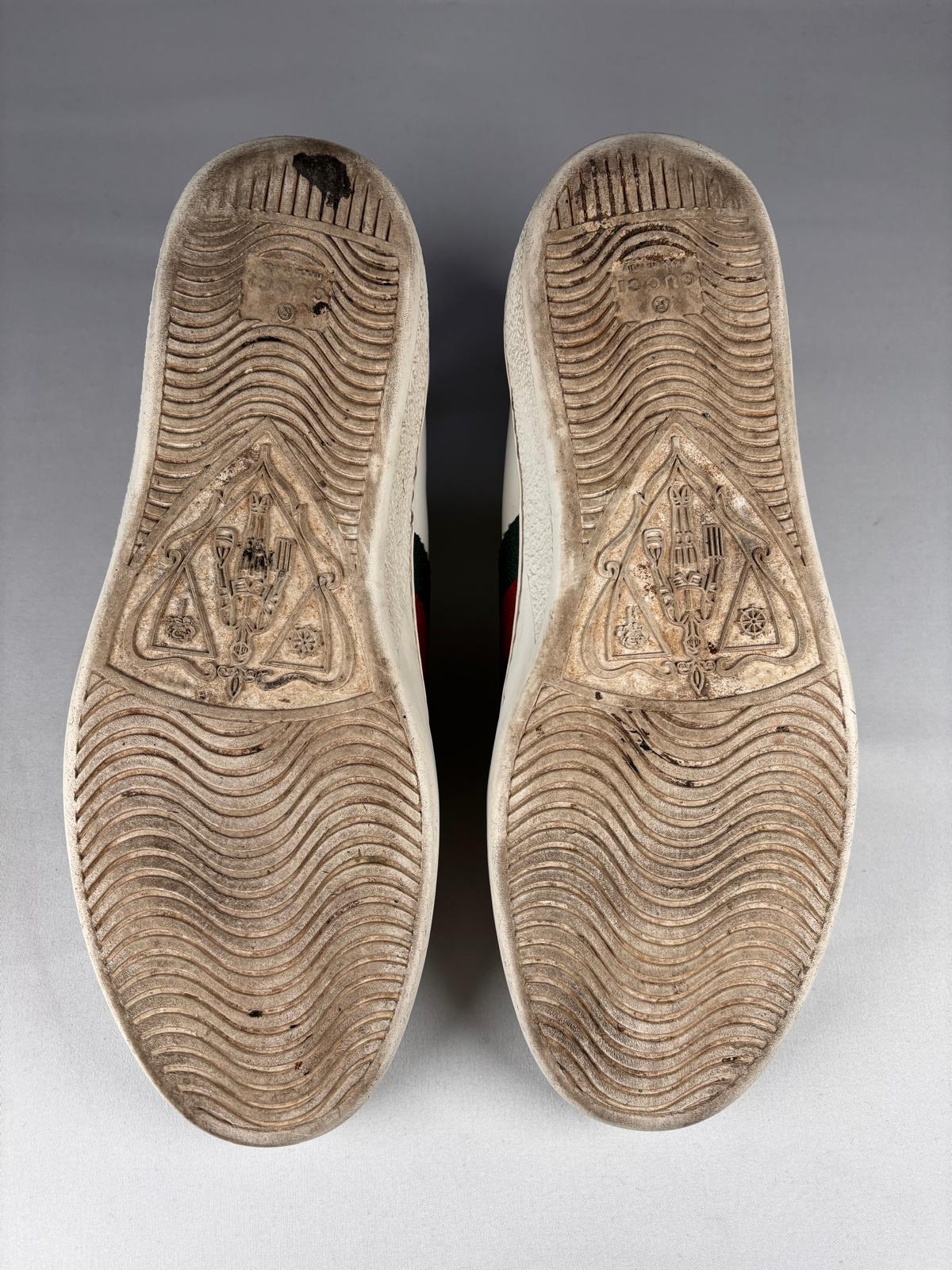 Gucci Ace Snake