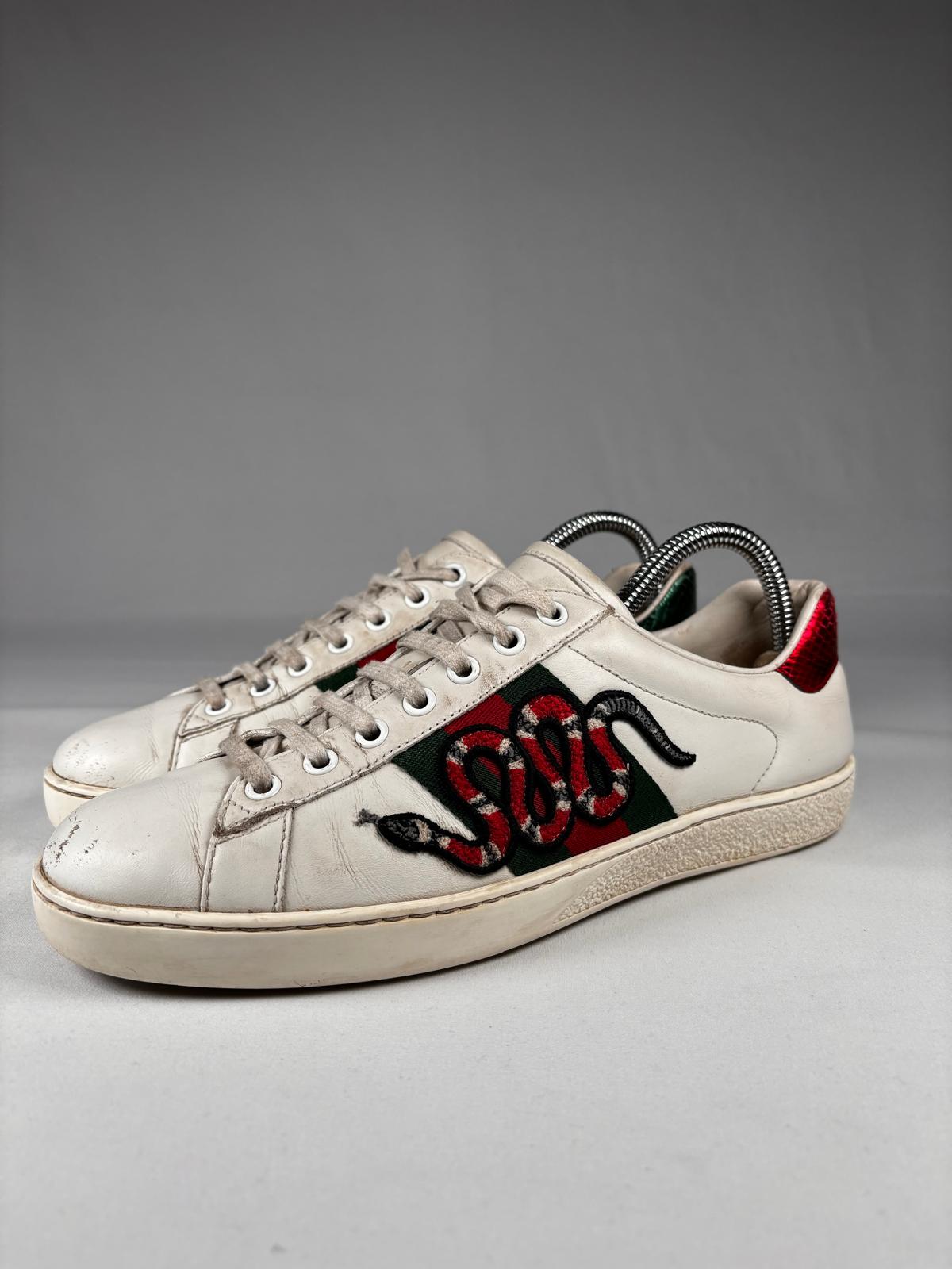 Gucci Ace Snake