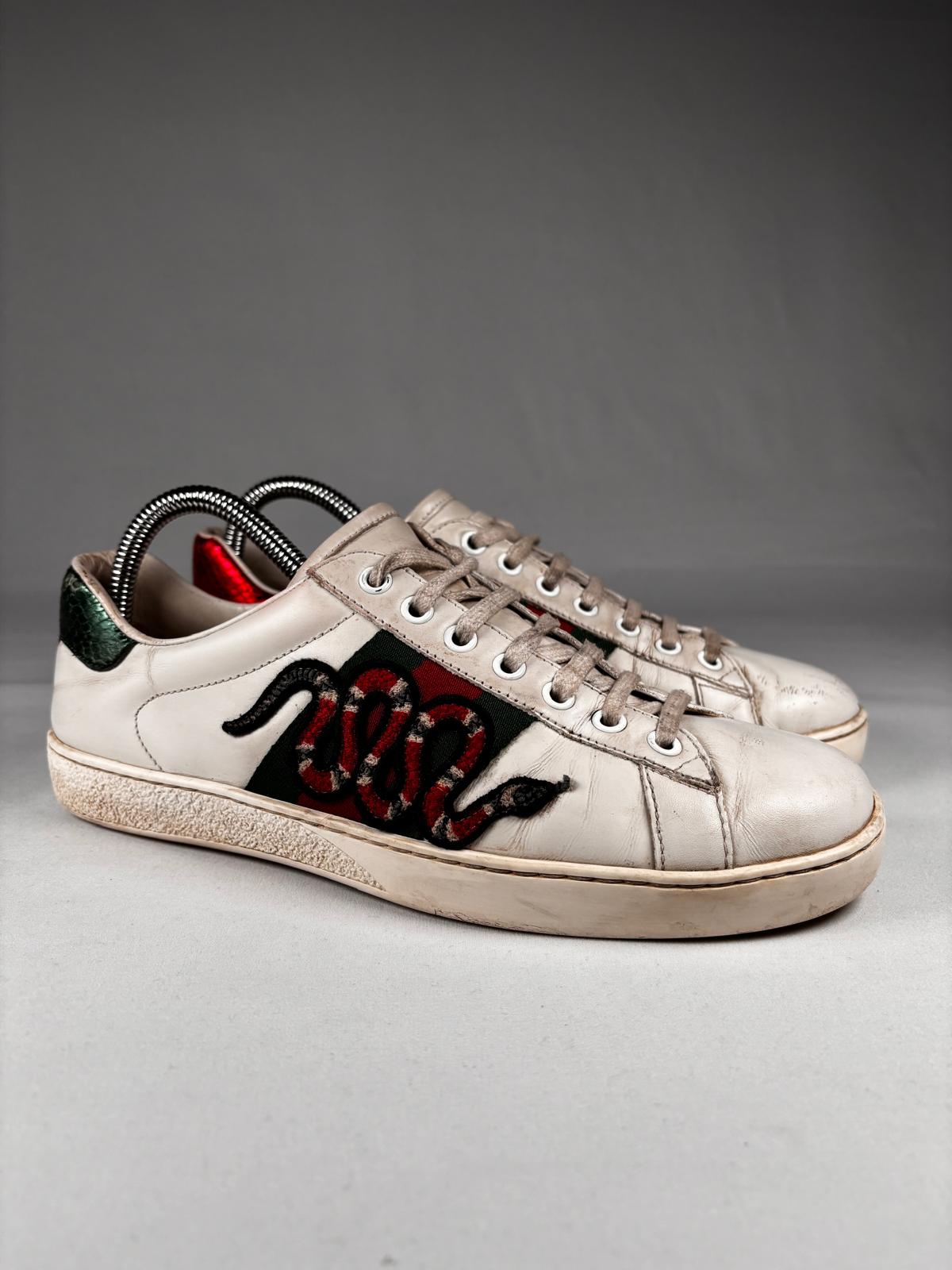 Gucci Ace Snake