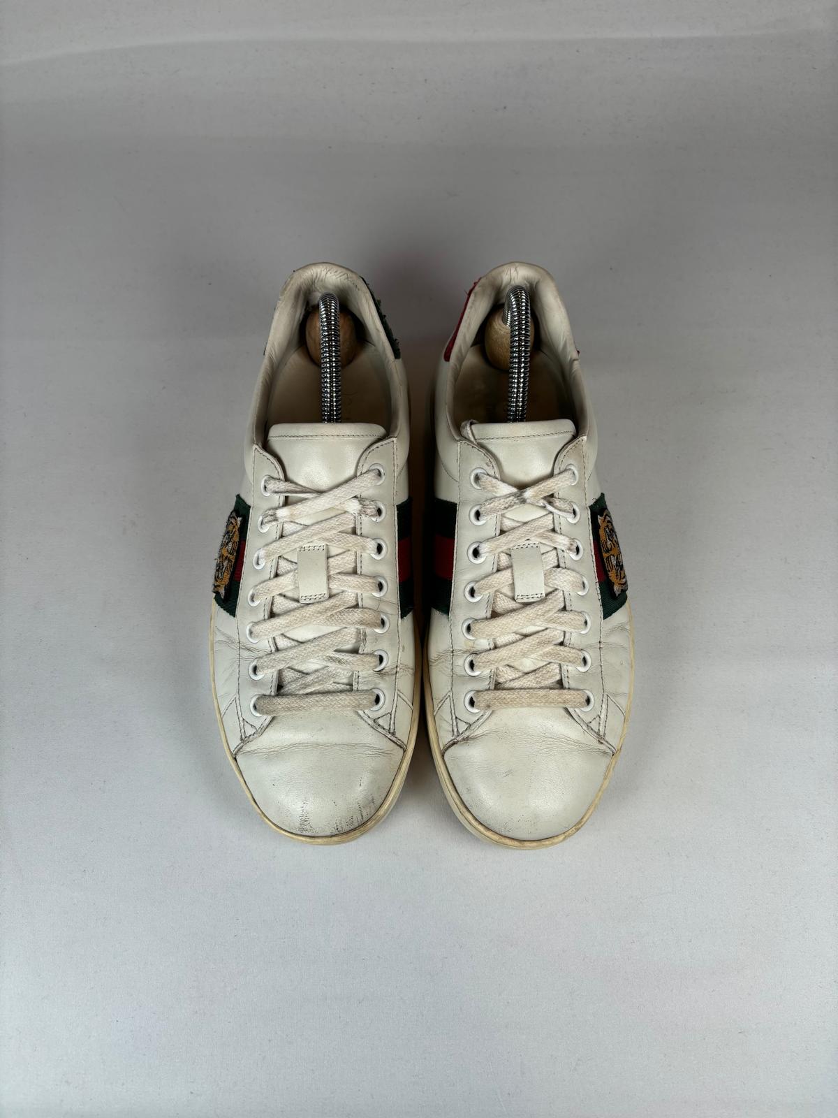 Gucci Ace Tiger