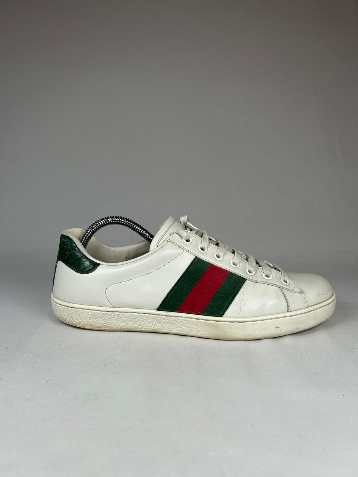 Gucci Ace
