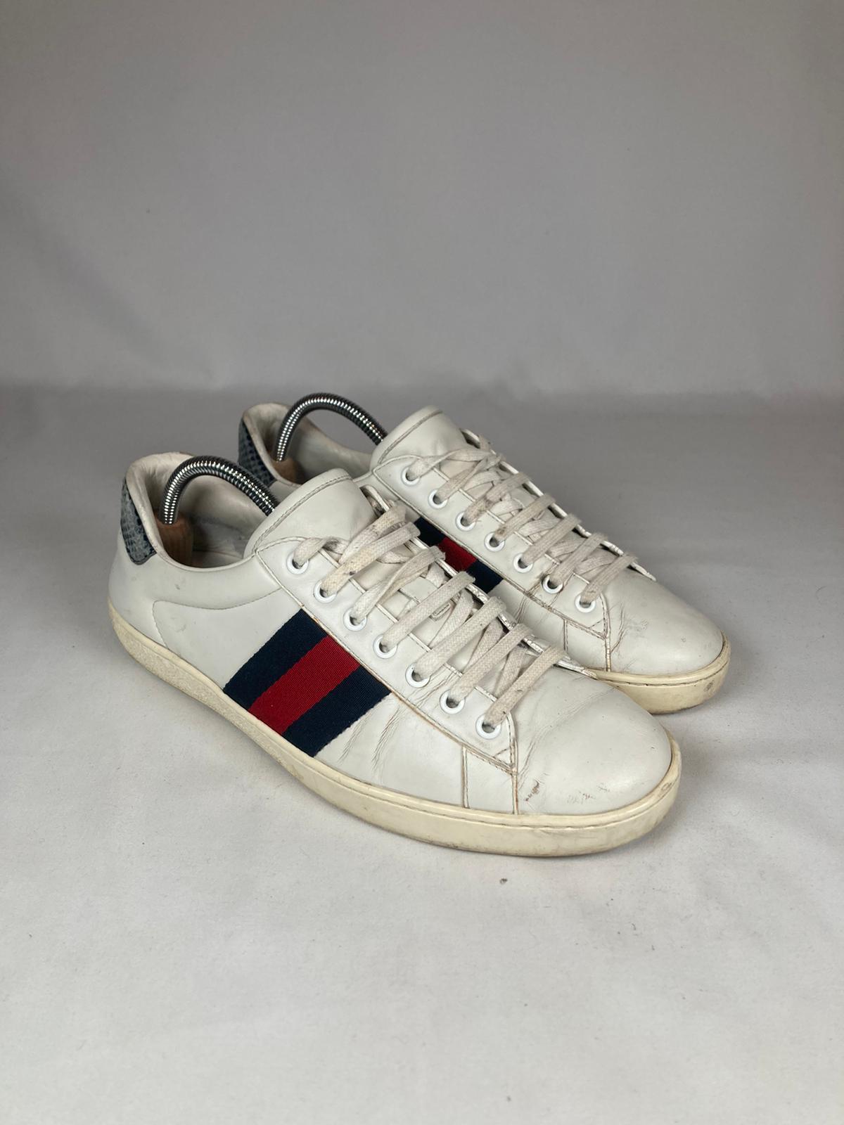 Gucci Ace