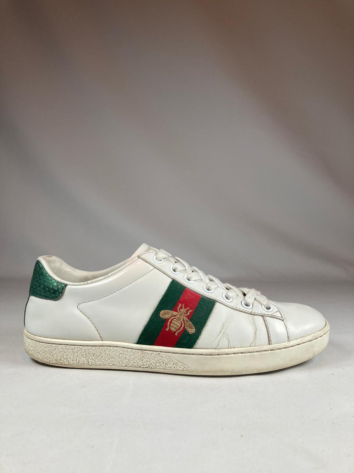 Gucci Ace Bee