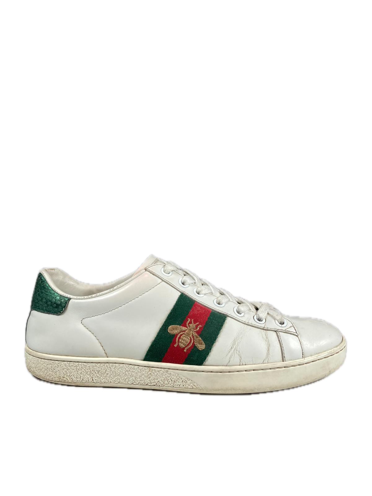 Gucci Ace Bee